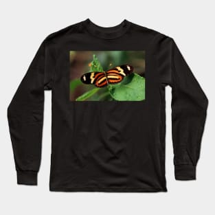 Butterfly - Iguazu, Argentina Long Sleeve T-Shirt